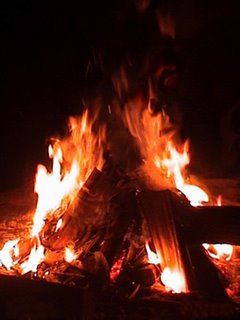 Salamandras presentandose en el Fuego!...