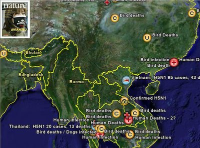 Google Earth gripe aviar