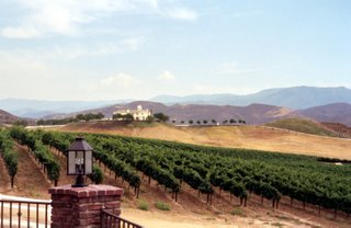 View of the vineyards from Leonesse Cellars
