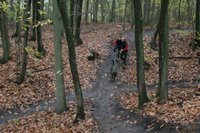 Seconde tentative : la descente est très abrupte ...