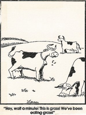 This image is a Far Side cartoon by Gary Larson that was published on 03/23/1989 and it depicts three grazing cows. In the center one cow has her head up with a shocked look on her face and bits of grass falling out of her mouth. She's exclaiming 'Hey, wait a minute! This is grass! We've been eating grass!'