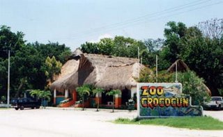 Enjoy CrocoCun in the Riviera Maya.