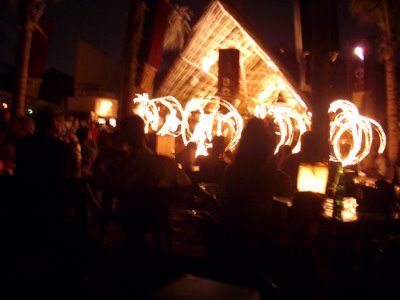 The Famous Blue Parrot Fire Show