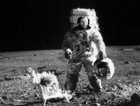 Armstrong on the moon.
