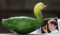 A cucumber shaped like an ugly duckling.