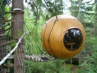 A tree house A tree house.
