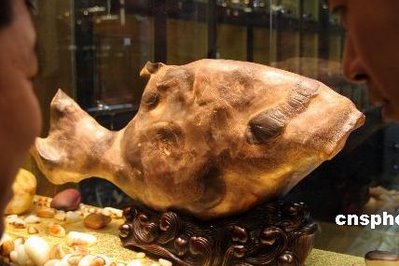 Stone which resembles a fish.