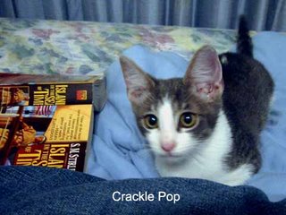 Crackle Pop