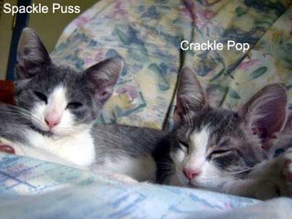 Spackle Puss and Crackle Pop