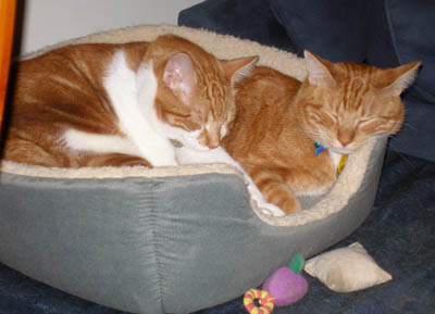 arthur and beowulf sleep
