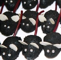 Army of truffle mice - a sweet treat