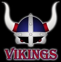 Villas Vikings Baseball