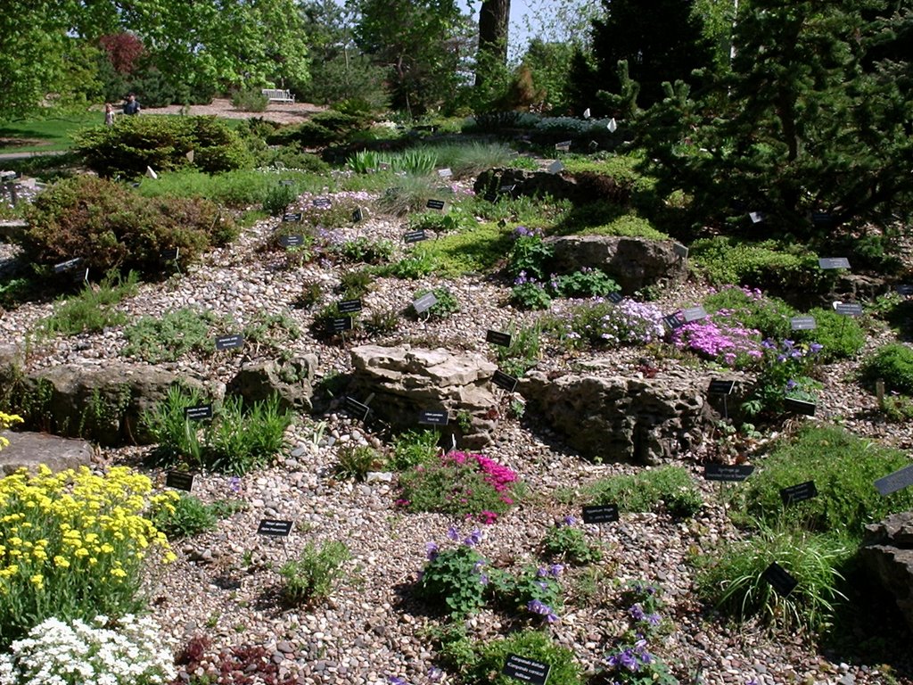 picture does not do this garden justice. I have started a rock garden 