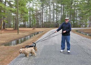 man walks dogs