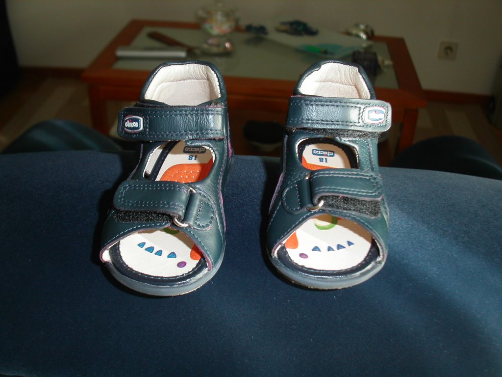 sapatos bebe chicco