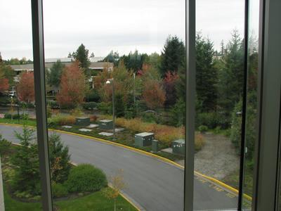 View From Window