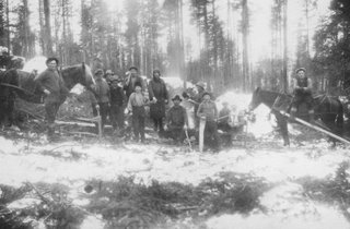 Skogsarbetare, Ådals-Liden, 1920-tal. Till höger, sittande på hästryggen, Oskar Lundin, född 1907 i Västanbäck, Ådals-Liden. Kvinnan i mitten, som håller ett barn i handen, är farmor, Elin Lundin. Bakom pojken med sågen står farfar, Bror O. Lundin