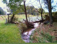Rain-swollen brook