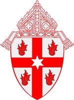 Saginaw Diocese