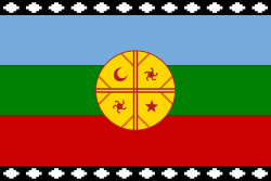 bandera Mapuche