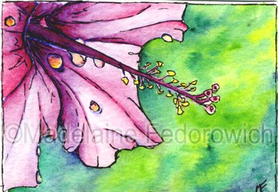 Pink Drops ACEO