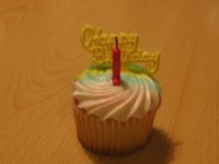One of Emily's Birthday cakes