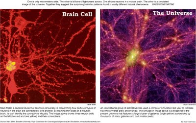 One is only micrometers wide. The other is billions of light-years across. One shows neurons in a mouse brain. The other is a simulated image of the universe. Together they suggest the surprisingly similar patterns found in vastly different natural phenomenon. -- David Constantine