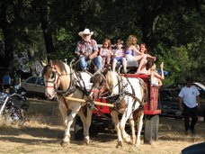 Duane's Hayride