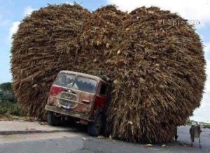 Overloaded Vehicles