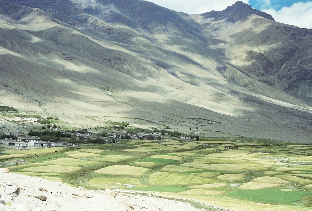 Leh Logs: Days Four & Five