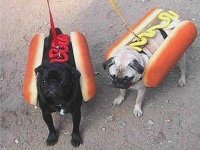 Real Hot Dogs !