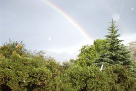 Rainbow May, 2006