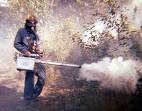 mosquito repellent mosquitoes virus fogging malathion aedes anopheles malaria dengue chikungunya disease