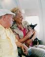 travel trip vacation pets dogs cats holiday flight plane pet cat dog