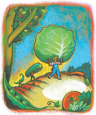 Vegetable Illustration