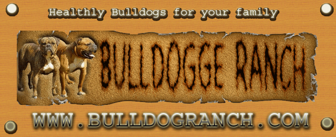 Bulldogranch.com
