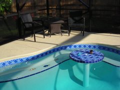 Our new pool!!!