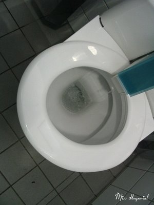Self-Cleaning Toilet, Hamburg, DE, 14-Apr-06