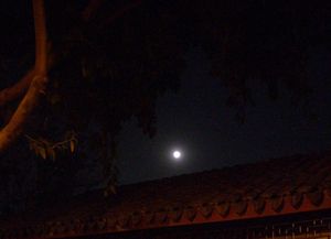 明明如月（攝影：文心）