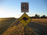 Kangaroo sign, Copyright 2004 Marc Pound
