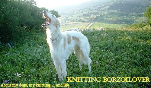 Knitting Borzoilover