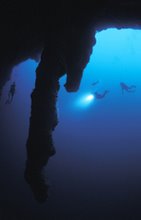 Adventure Divers with Elbert Greer 2007