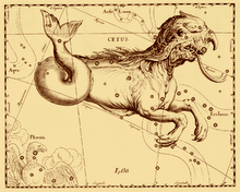 La Baleine, Constellation