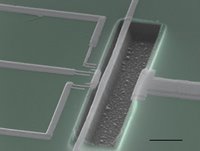 A scanning electron microscope image of an aluminum and silicon nitride resonator coupled to a superconducting single electron transistor (SSET). Researchers watched the resonator move through a phenomenon known as quantum back-action.