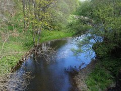River Fiddich in early May