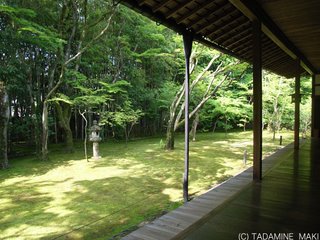Kotoin Temple, Daitokuji Temple, Kyoto sightseeing
