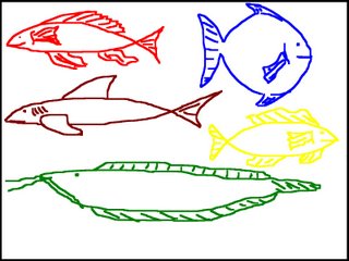 The Colored Fish