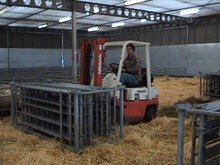 onze collega cor van de boeren hulp in actie met het opruimen van de hekken