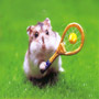Tennis Hamster
