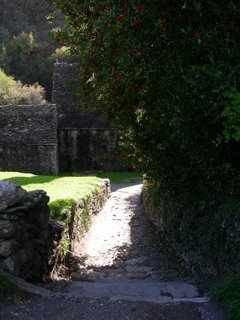 Paths among St.Kevin's site